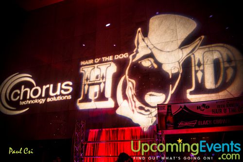 Hair O' The Dog (Gallery A)