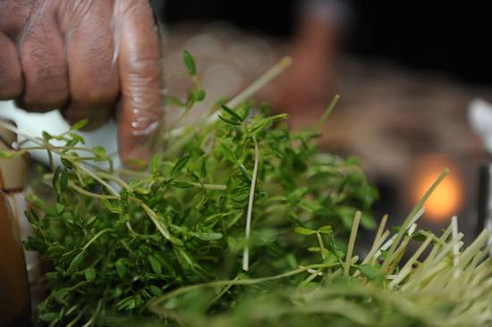 Harvest Seasonal Grill & Wine Bar Spring Menu & Wine Tasting