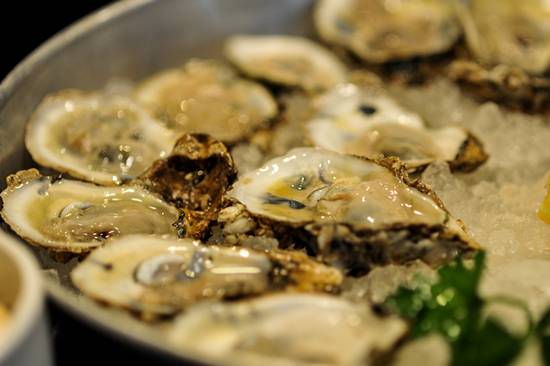 Doc Magrogan's Deck Launch