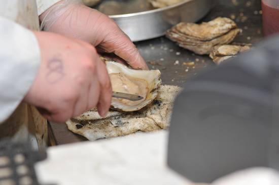 Doc Magrogan's Deck Launch