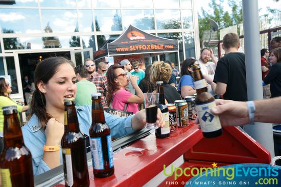 Beer Fest and BBQ at the Ballpark (Gallery 2)