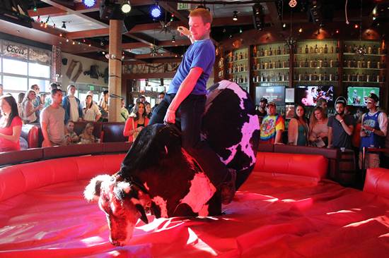 Xtoberfest 2013 (Gallery A)