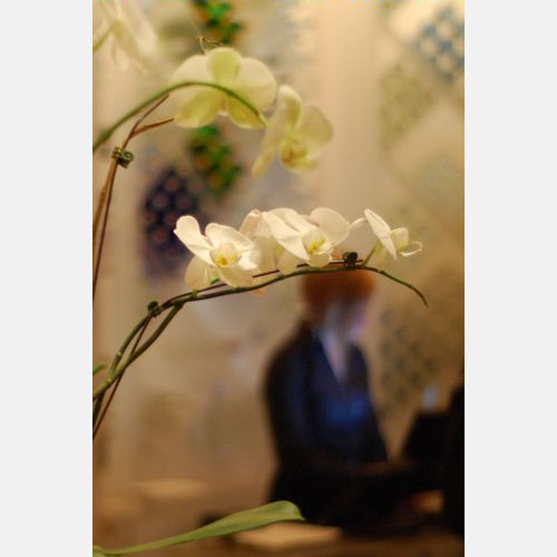 Young Professionals After-Work Networking Happy Hour