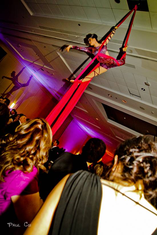 Hair 'O The Dog 2014