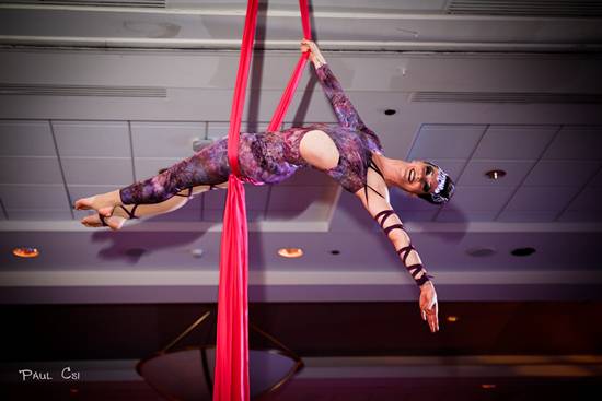 Hair 'O The Dog 2014