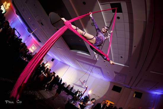 Hair 'O The Dog 2014