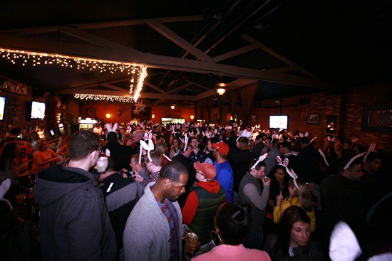 16th Annual Bunny Hop! (Gallery A)