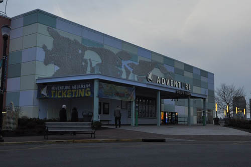 Hot Chocolate @ The Adventure Aquarium