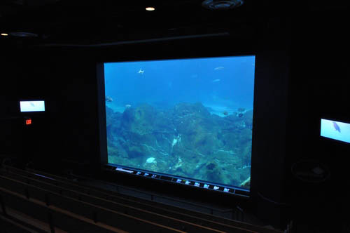 Hot Chocolate @ The Adventure Aquarium