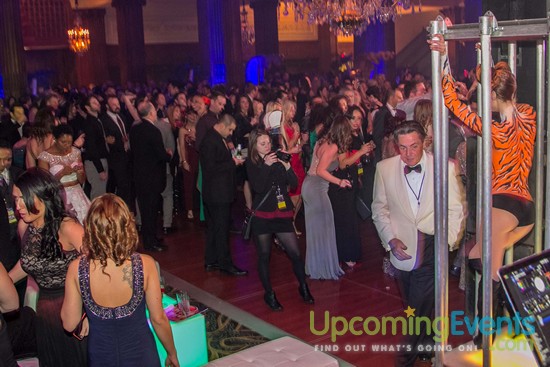 Hair O' The Dog 2016 (Gallery 1)