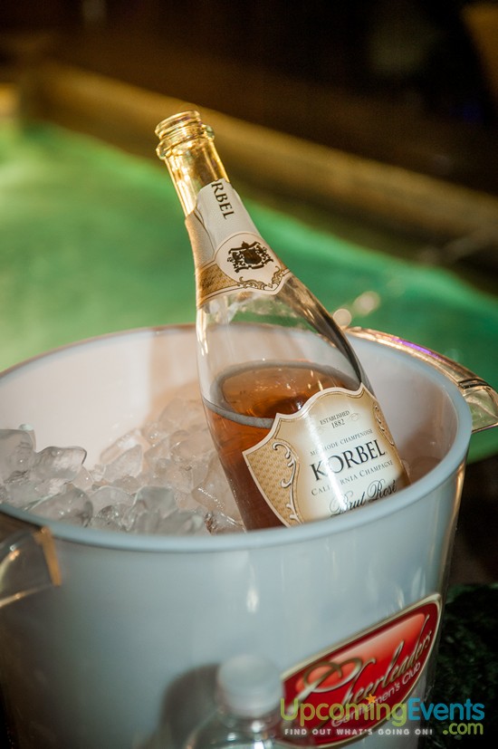 Hair O' The Dog 2016 (Gallery 2)