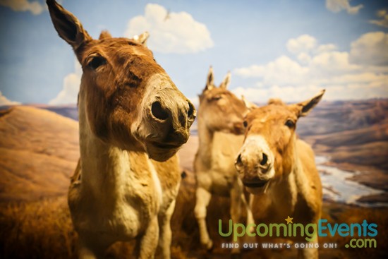 Philadelphia Restaurant Festival 2016