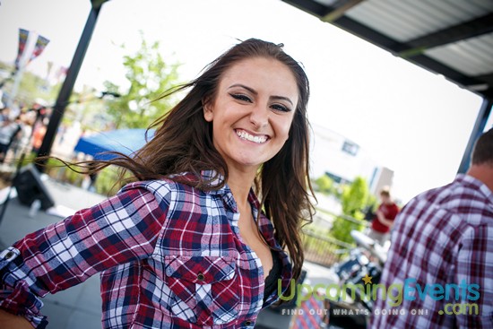 Springfest Live! 2016 (Gallery A)