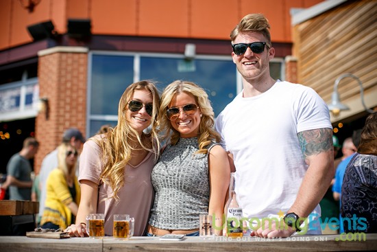 Springfest Live! 2016 (Gallery A)