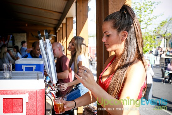 Springfest Live! 2016 (Gallery A)