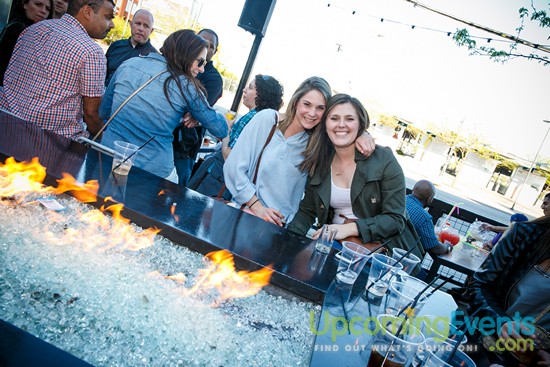 Springfest Live! 2016 (Gallery A)