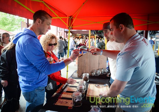 All Star Craft Beer & Wine Festival - Gallery 1