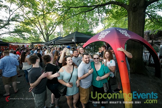 Summer Ale Festival at The Zoo!
