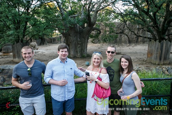 Summer Ale Festival at The Zoo!