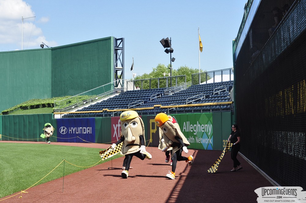 Pittsburgh All Star Festival 2018 - Gallery 6