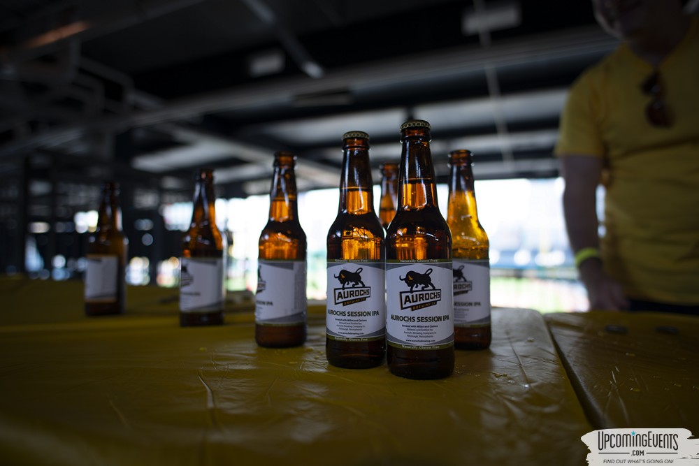 Pittsburgh All Star Festival 2018 - Gallery 5