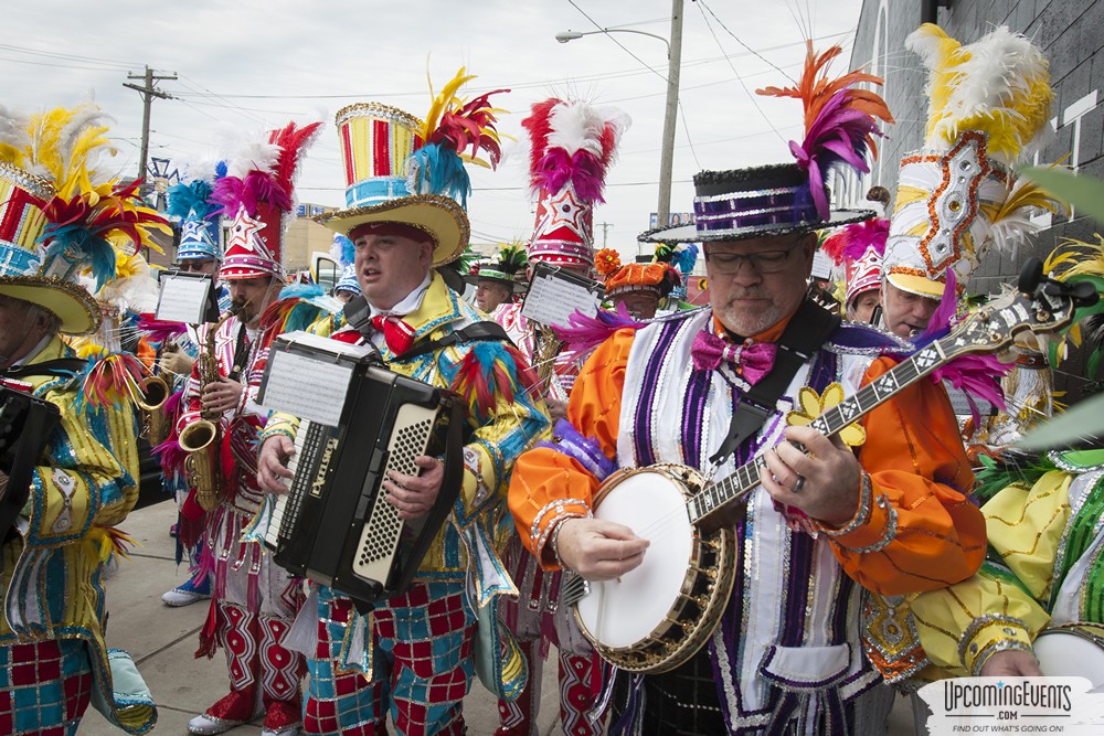 Mummers Mardi Gras Festival (Candid Gallery 1)