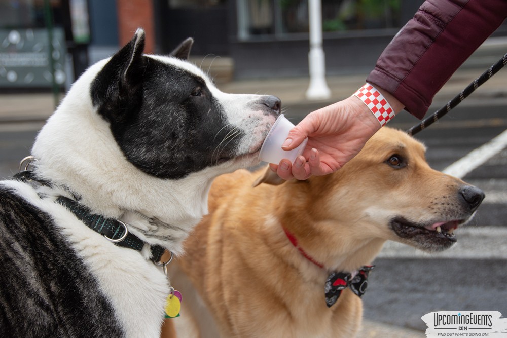 Manayunk Chowder Crawl