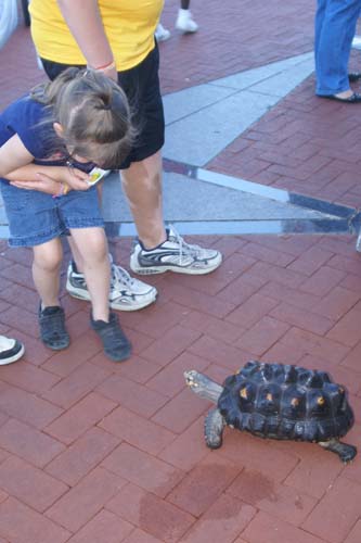 Battleship Blast 2010