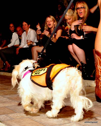 Fashion in Public (Gallery 2)