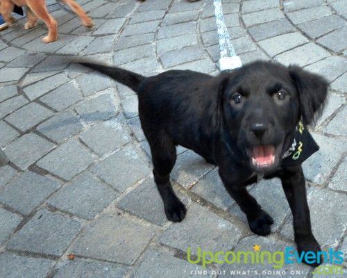 PW Concerts at Piazza