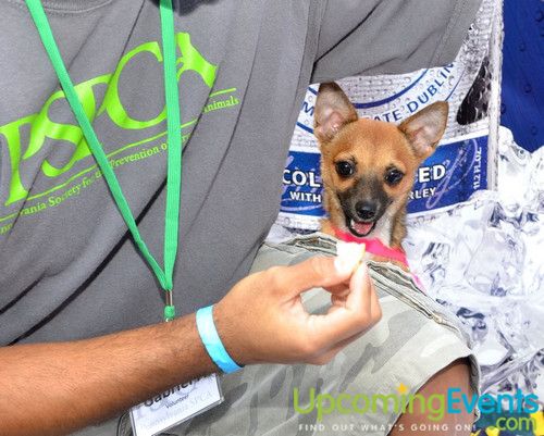 Beerfest @ The Ballpark (Gallery 1)