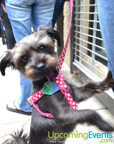 Midtown Festival (Gallery 2)