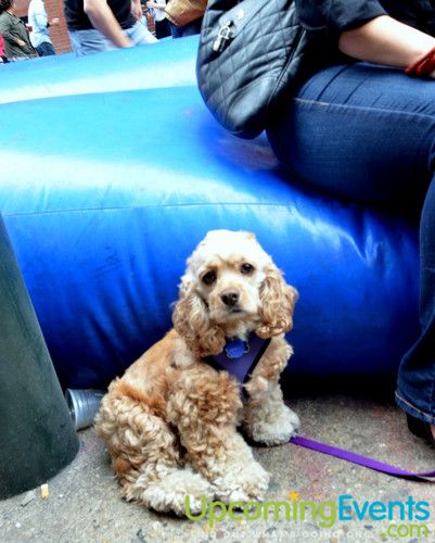 Midtown Festival (Gallery 2)