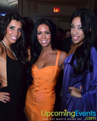 Hair O' the Dog (Gallery B)