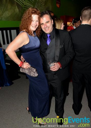 Red Ball 2012 Gallery 1