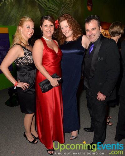 Red Ball 2012 Gallery 1