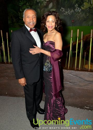 Red Ball 2012 Gallery 1