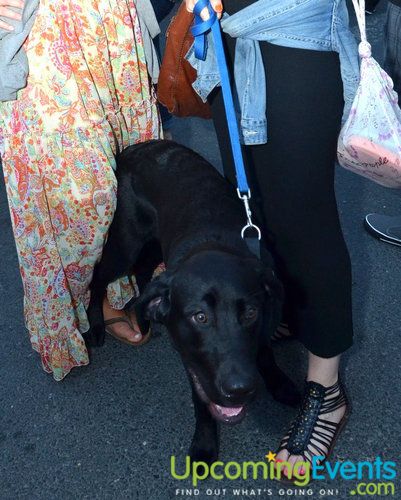 Night Market Philly - NOLIBS