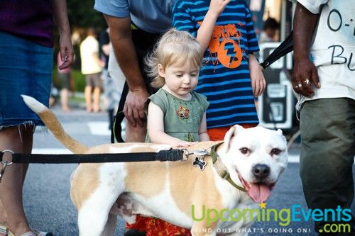 Night Market Mt Airy