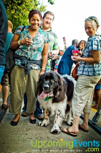 Night Market Mt Airy