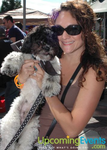 6th Annual Beer Fest at the Ballpark