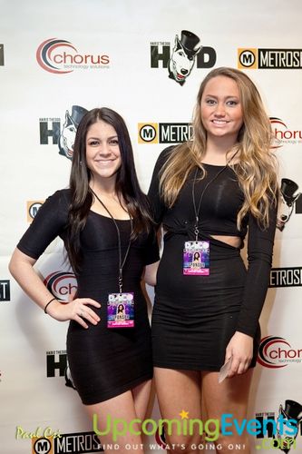 Hair O' The Dog (Gallery B)