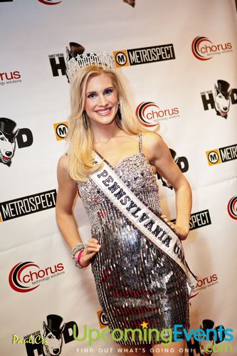 Hair O' The Dog (Gallery B)