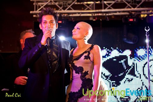 Hair O' The Dog (Gallery B)