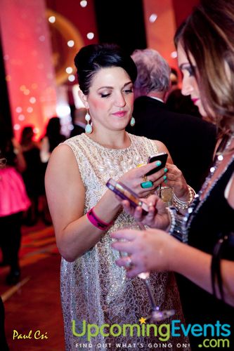 Hair O' The Dog (Gallery B)