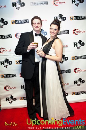 Hair O' The Dog (Gallery B)