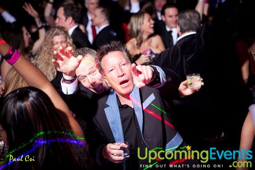 Hair O' The Dog (Gallery B)