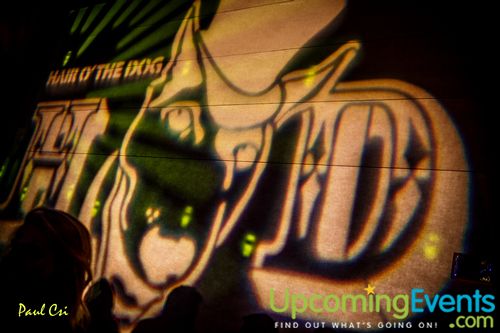 Hair O' The Dog (Gallery B)