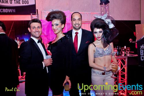 Hair O' The Dog (Gallery A)