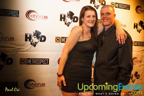 Hair O' The Dog (Gallery A)